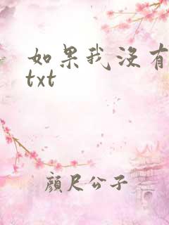 如果我没有爱过txt