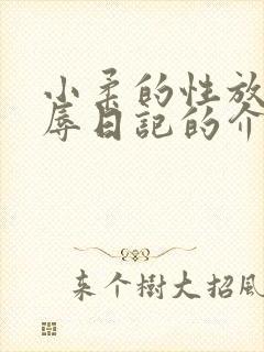 小柔的性放荡羞辱日记的介绍