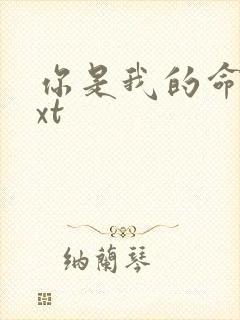 你是我的命运txt