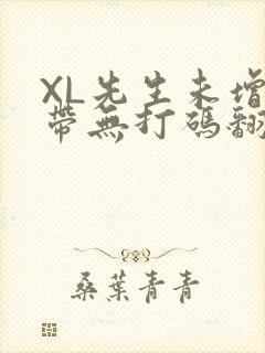 XL先生未增删带无打码翻译