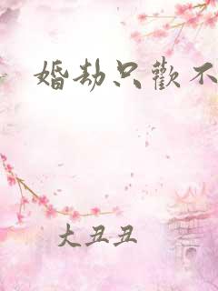 婚劫只欢不爱