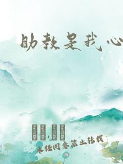 助教是我心尖宠