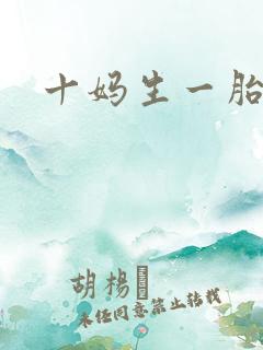 十妈生一胎
