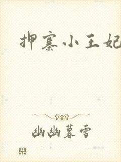 押寨小王妃
