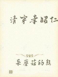 清穿孝昭仁皇后