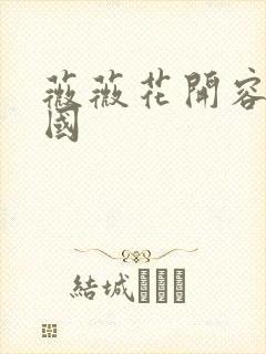 薇薇花开容颜倾国