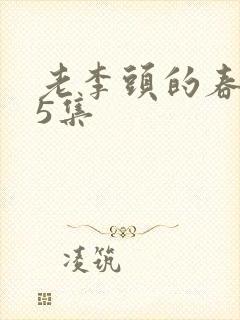 老李头的春天75集