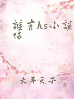 谁有hs小说网站