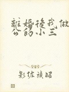 离婚后我做了老公的小三