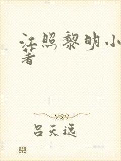 江照黎明小说原著