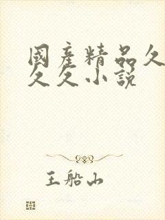 国产精品久久久久久小说