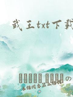 武王txt下载