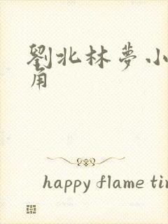 刘北林梦小说主角