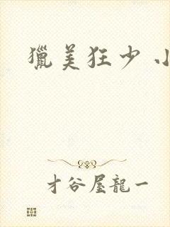 猎美狂少 小说