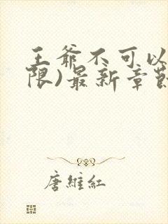 王爷不可以!(限)最新章节