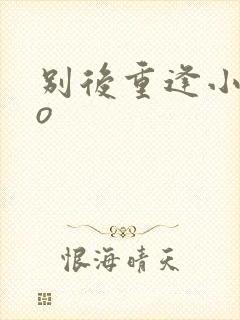 别后重逢小说po