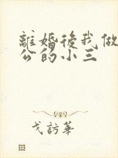 离婚后我做了老公的小三