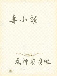 妻小说