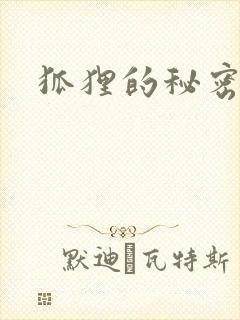 狐狸的秘密下载