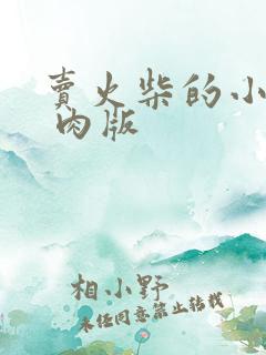 卖火柴的小男孩 肉版