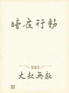 暗夜行动