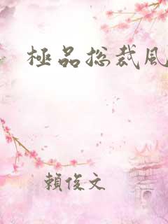 极品总裁风流录