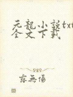 元龙小说txt全文下载