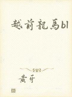 越前龙马bl