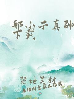 那小子真帅小说下载