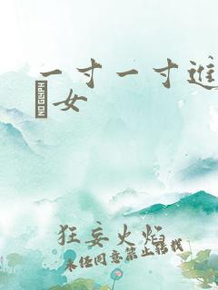 一寸一寸进入小姪女