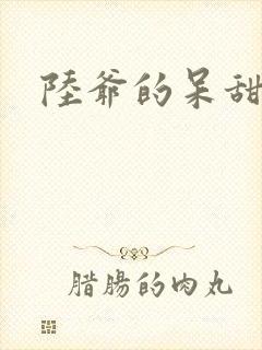 陆爷的呆甜萌妻