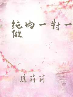 纯肉一对一到处做