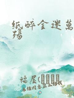 纸醉金迷万灭之殇