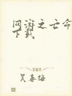 网游之亡命天涯下载