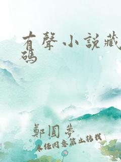 有声小说藏地密码