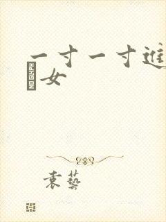 一寸一寸进入小姪女