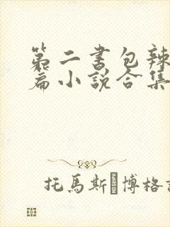 第二书包辣网短篇小说合集
