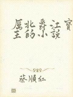 厉北爵江宝宝男主的小说