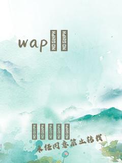 wapС˵