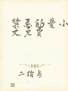 禁忌的爱小说全文免费