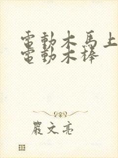 电动木马上两个电动木棒