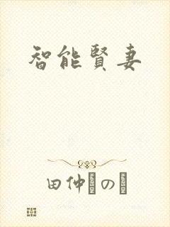 智能贤妻