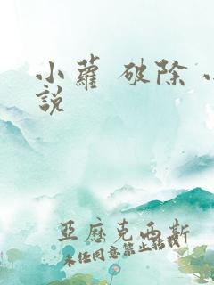 小萝 破除 小说