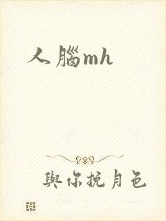 人脑mh