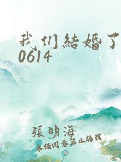 我们结婚了130614