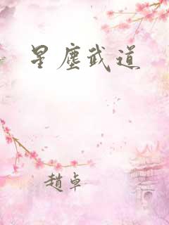 星尘武道