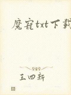 魔宠txt下载