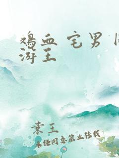 鸡血 宅男 网游王