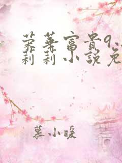 荣华富贵9小王莉莉小说免费阅读