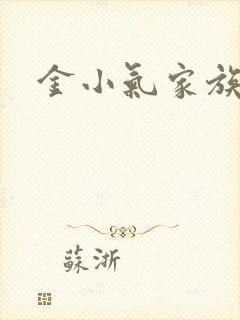 金小气家族小说